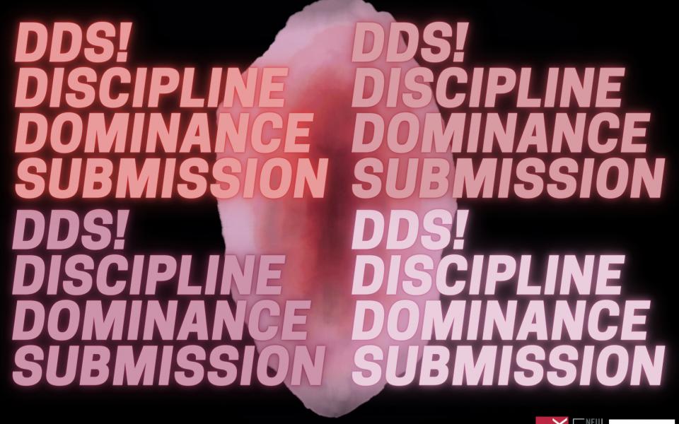DDS! Discipline, Dominance, Submission - An interdisciplinary performance project
