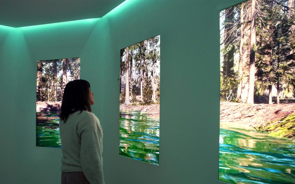Eine wahrscheinlich weiblich gelesene Person steht in einem Innenraum vor drei Screens, die wie Fenster angeordnet sind und einen CGI-Wald mit See zeigen. Das indirekte Raumlicht färbt die Wände grün