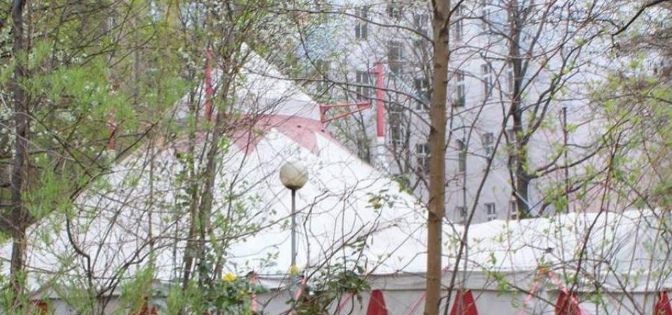 Circus Schatzinsel Foto: Circus Schatzinsel